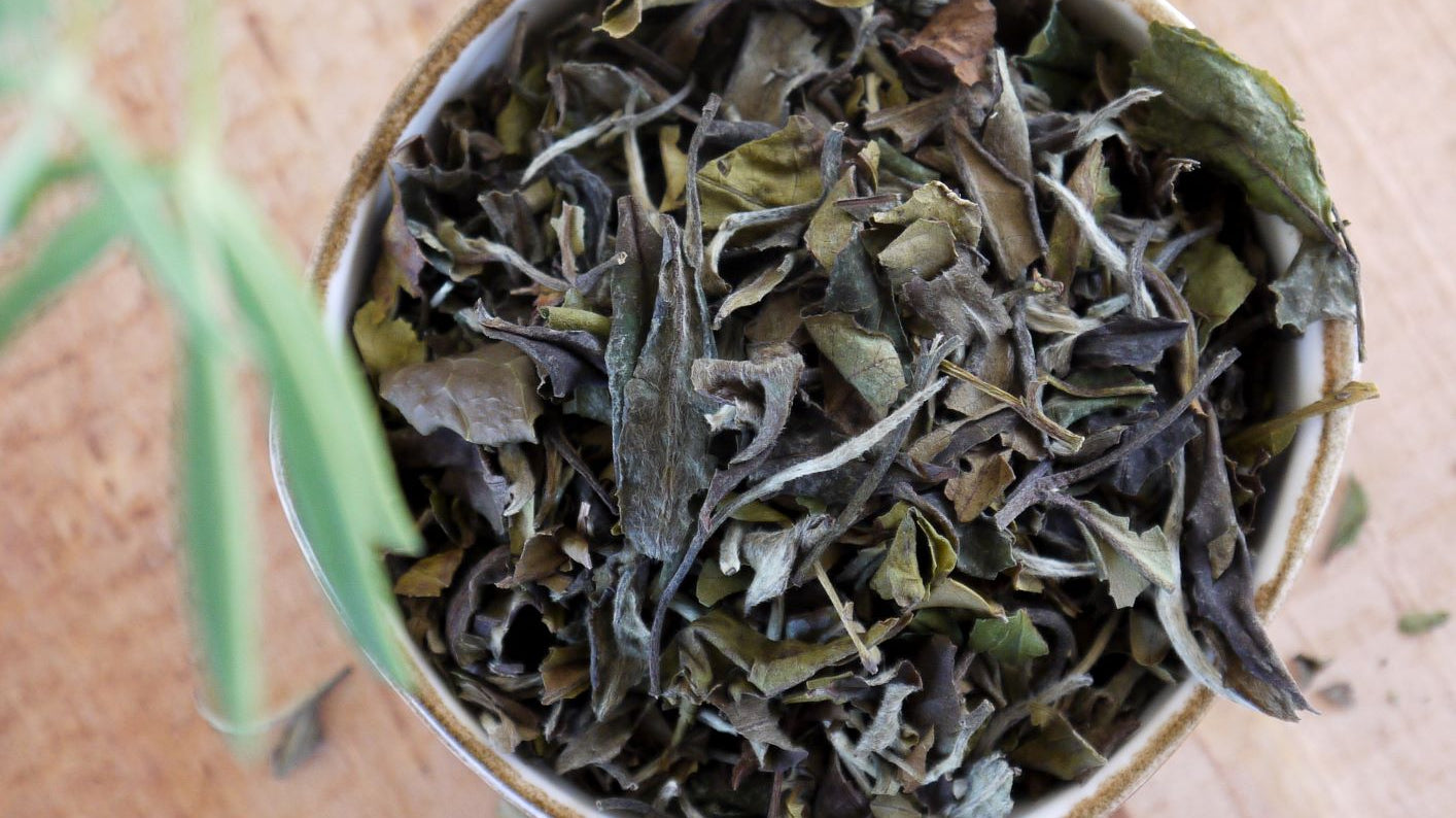 white tea new zealand