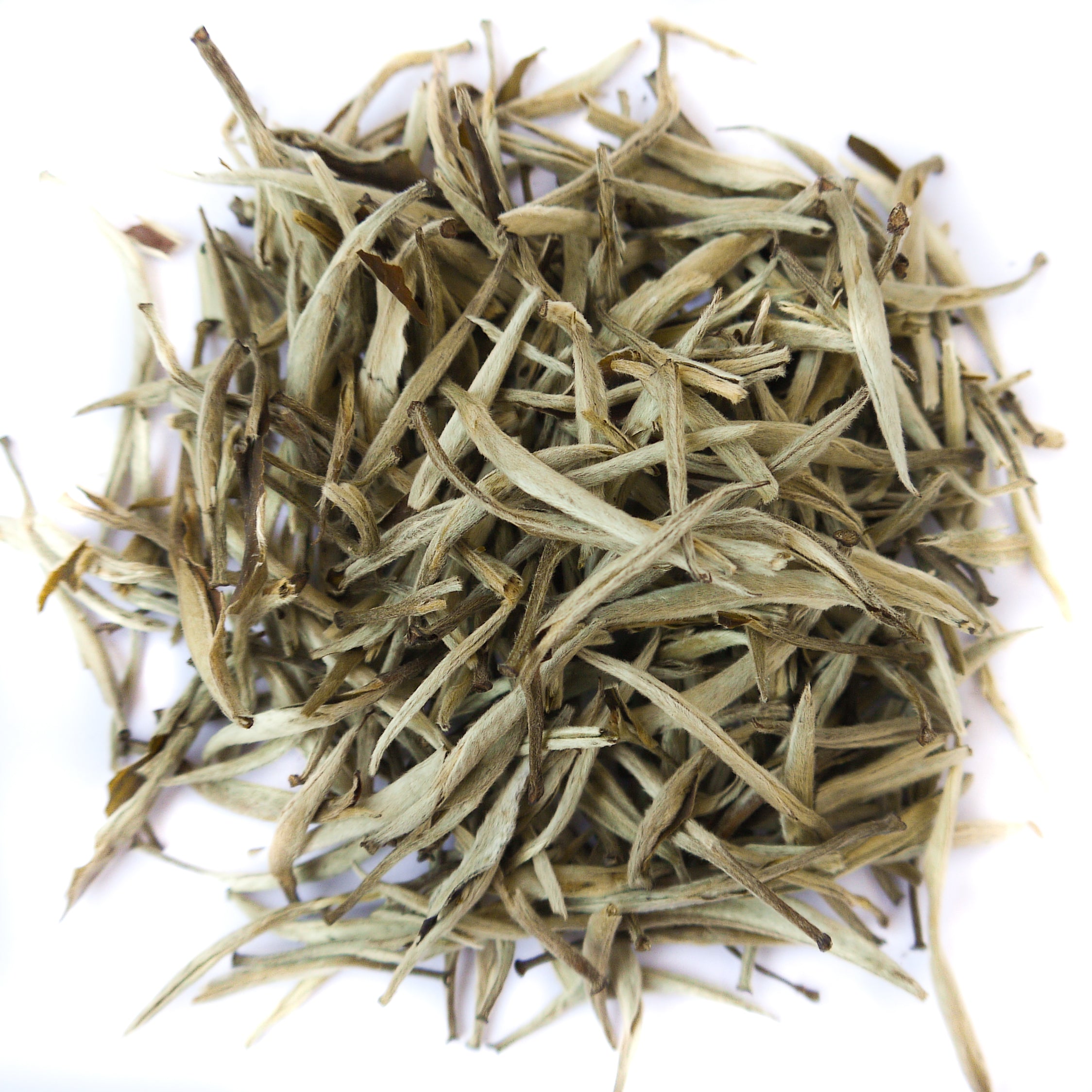 Silver Needle White Tea (Organic) - Ti Ani - Wild & Organic Tea