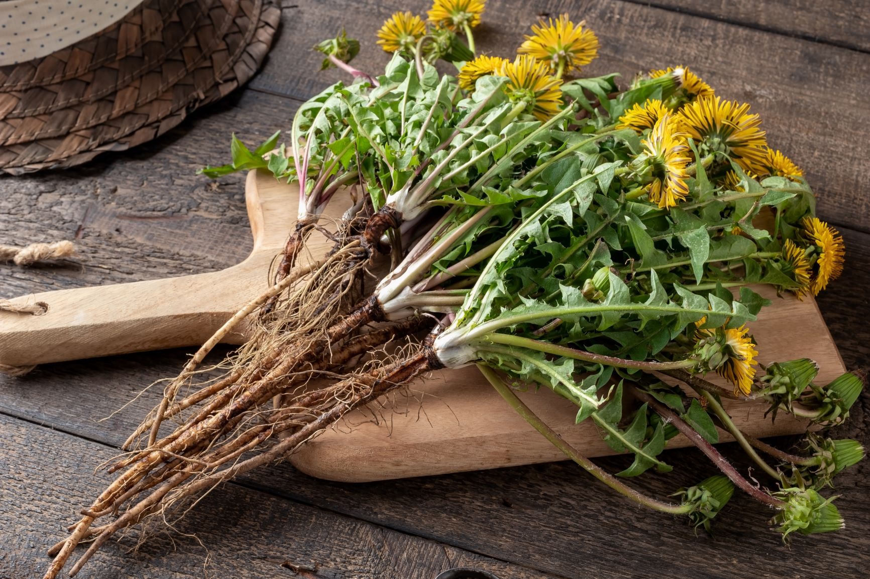 Have you tried roasted dandelion tea?