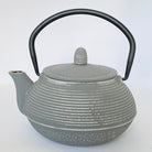 Gray teapot with black handle on a white background