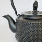 Tall_Black_Hobnail_-_Cast_Iron_Teapot_850ml_Ti_Ani_Tea_CU3