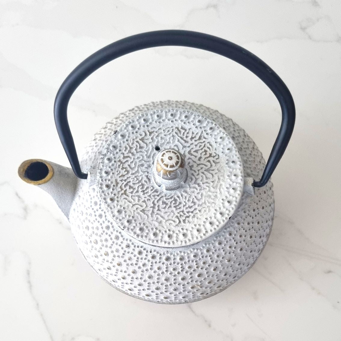 White Cast Iron Teapot - Ti Ani - Wild & Organic Tea