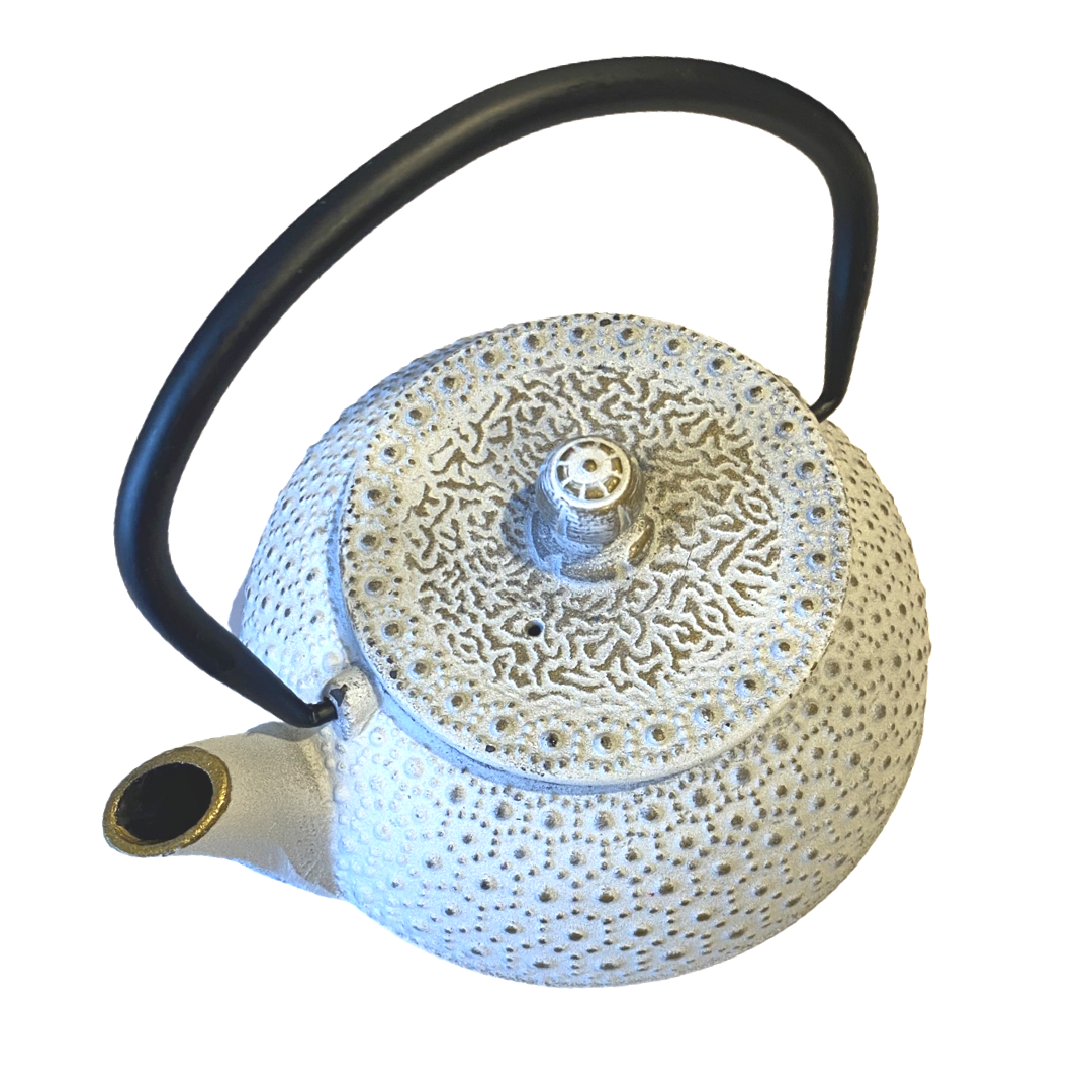 White Cast Iron Teapot