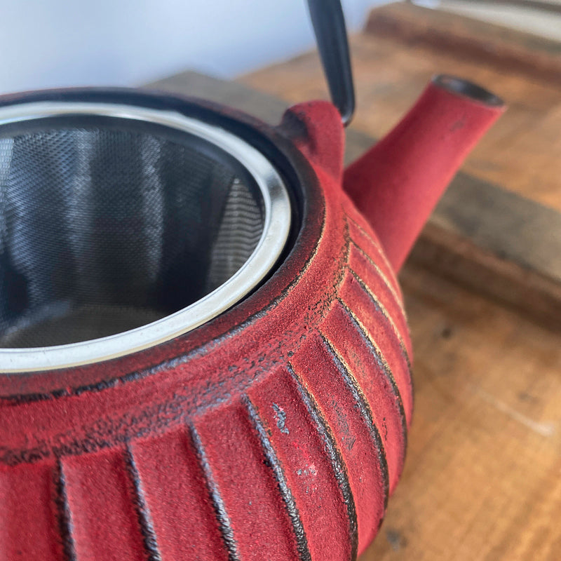 Red cast iron teapot