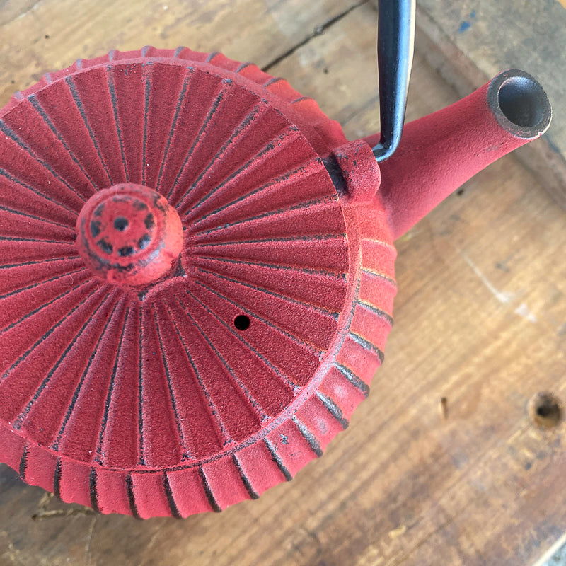 Red Cast Iron Teapot - Ti Ani - Wild & Organic Tea